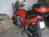 Bandit_24-03-2007_004_low.jpg
