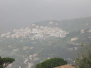 CIMG0041.JPG