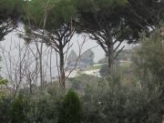 CIMG0047.JPG