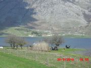 CIMG0190.JPG