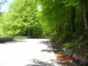 CIMG0219.JPG