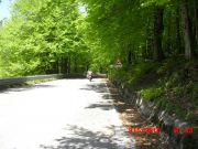 CIMG0222.JPG