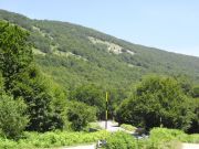 CIMG0307.JPG