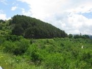 IMG_0357.JPG
