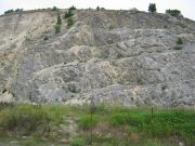IMG_0372.JPG