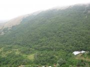 IMG_0375.JPG