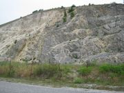 IMG_0377.JPG