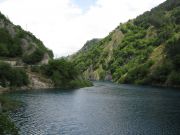 IMG_0391.JPG