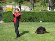 IMG_0409.JPG