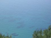 CIMG0878.JPG