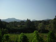 CIMG0893.JPG