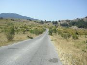 CIMG0897.JPG