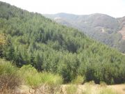 CIMG0903.JPG