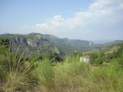 CIMG0913.JPG