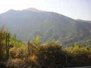 CIMG0915.JPG