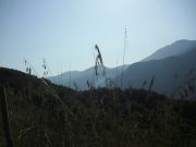 CIMG0917.JPG