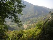 CIMG0921.JPG