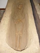 CIMG0924.JPG