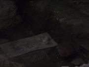CIMG0931.JPG