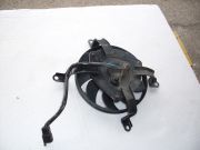 SDC10312.JPG