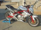 Kawasakina_003.JPG