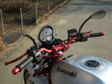 Kawasakina_007.JPG