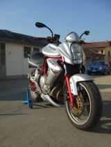 Kawasakina_011.JPG