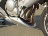 Kawasakina_013.JPG