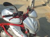 Kawasakina_014.JPG