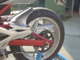 Kawasakina_016.JPG