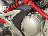 Kawasakina_018.JPG