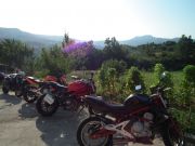 DSCF1639.JPG
