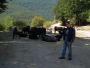 DSCF1684.JPG