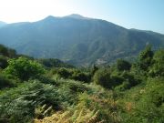 DSCF1731.JPG