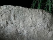 DSCF1746.JPG