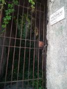 DSCF5659.jpg