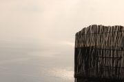 DSC_2275.JPG