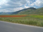 DSCF1277.JPG