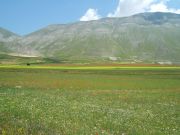 DSCF1279.JPG