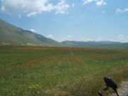 DSCF1280.JPG