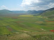 DSCF1281.JPG