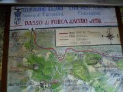 P1000423.JPG