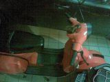 21122008(005).jpg
