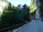 DSC01249.JPG