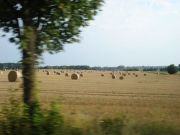 DSC02029.JPG