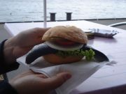 DSC02211.JPG
