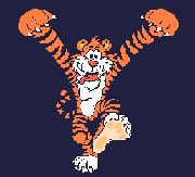 gif_animate_tigre_(12).gif
