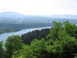 IMG_0027.jpg