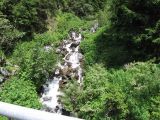 IMG_0029.jpg
