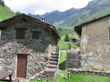 IMG_0040.jpg